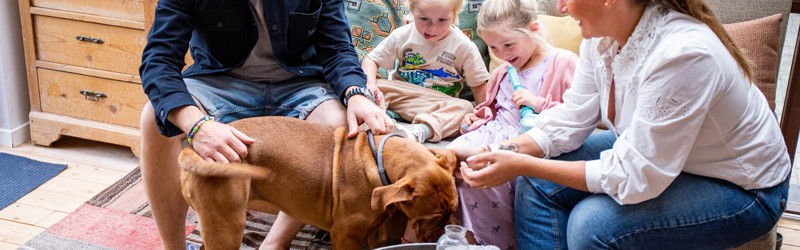 Familie med to børn og to voksne sidder i udestue og kæler med deres hund