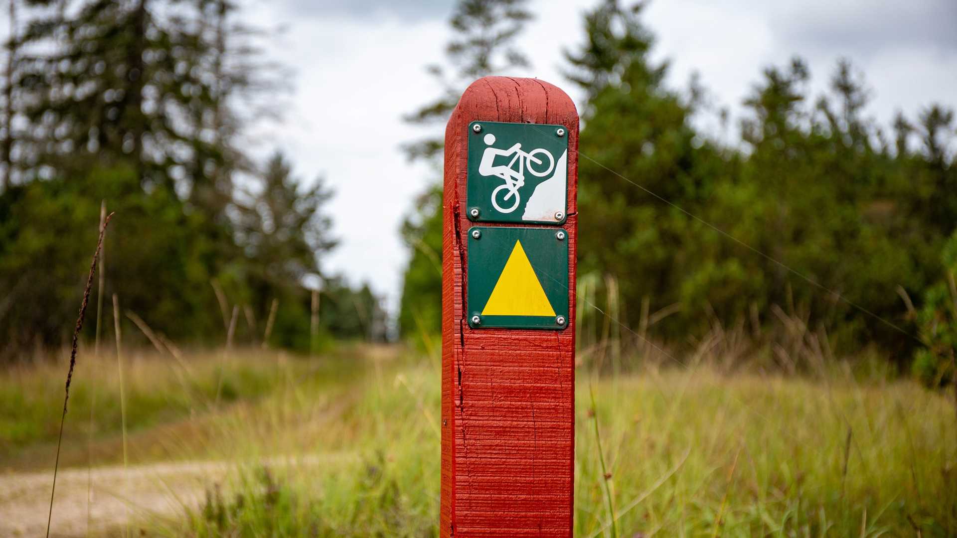 Cykelrute i Gludsted Plantage ved Stjernen Observationstårn