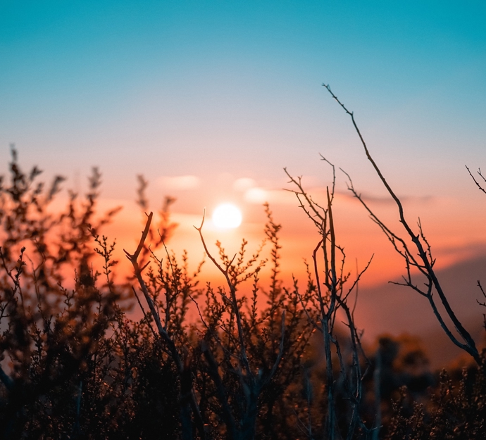 Solnedgang fotograferet med lyng i forgrunden - Sunset photographed with heather in the foreground