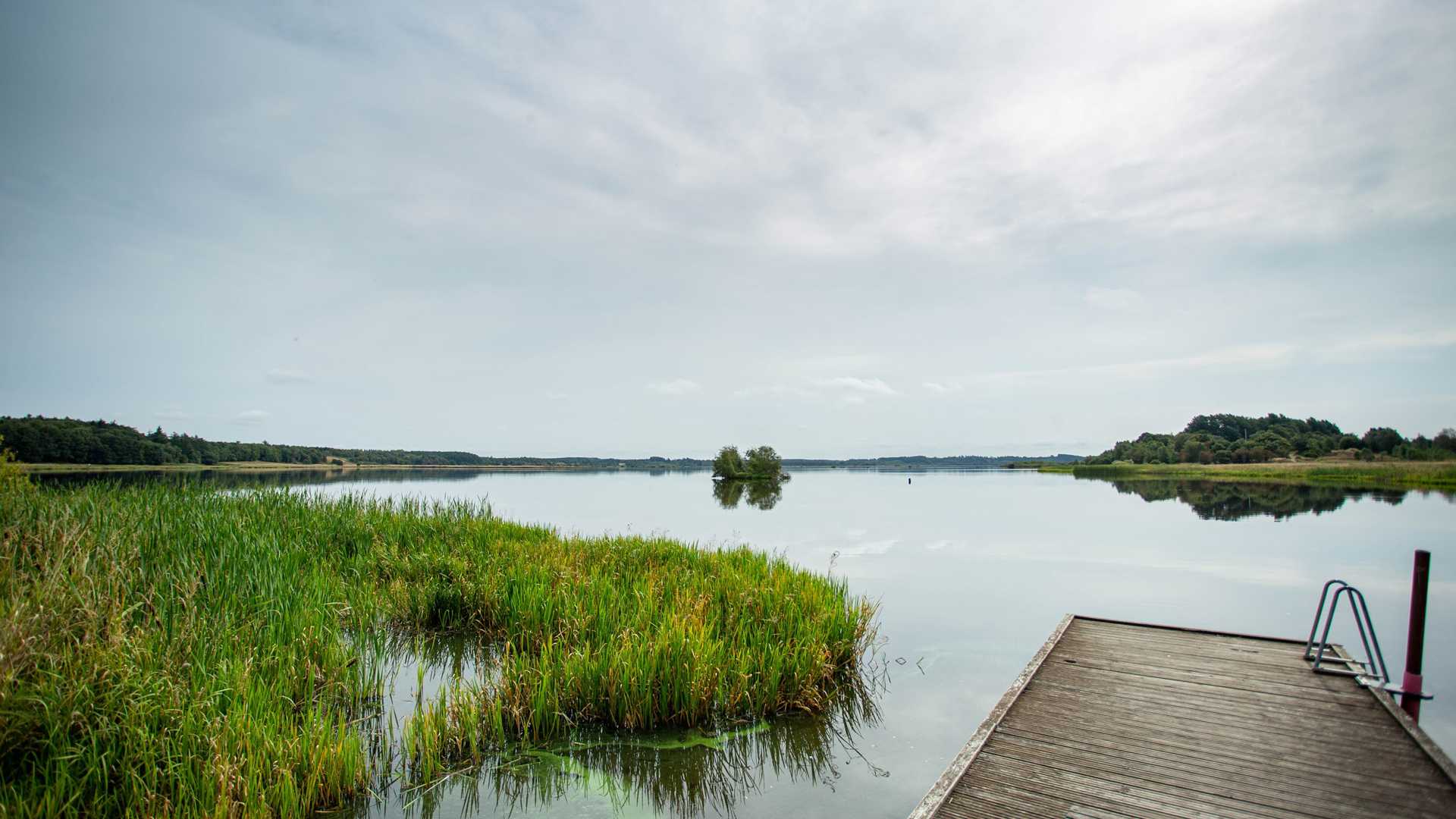 Billede fra en lille platform ved en sø